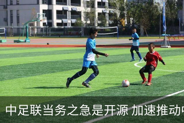 中足联当务之急是开源 加速推动中国足球职业化