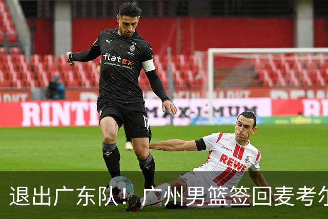 退出广东队！广州男篮签回麦考尔，上赛季坑惨杜锋了！